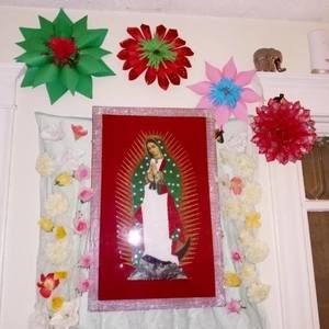 Meet your Posher, Heidy